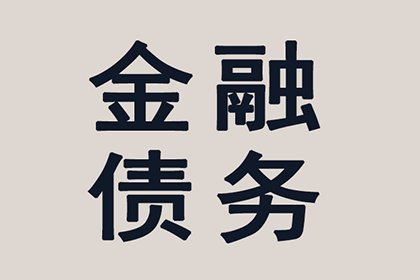 繁昌要账公司:民间借贷强制执行可行性分析